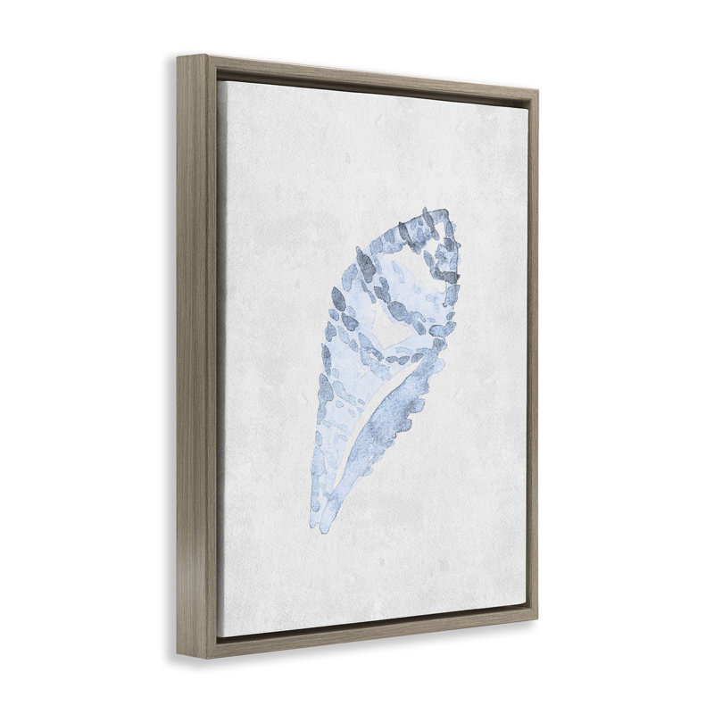 Cadre flottant Sea Snail Seashell, design par Camila Juncos, H 21 po x l 17 po, Cadre flottant orme Montalcino