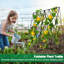 Ensemble de 2 treillis de concombre pliable à structure en A, support de plantes d'extérieur en acier enduit de PVC antirouille pour lits surélevés, haricots, tomates, plantes grimpantes-133408916-133408917