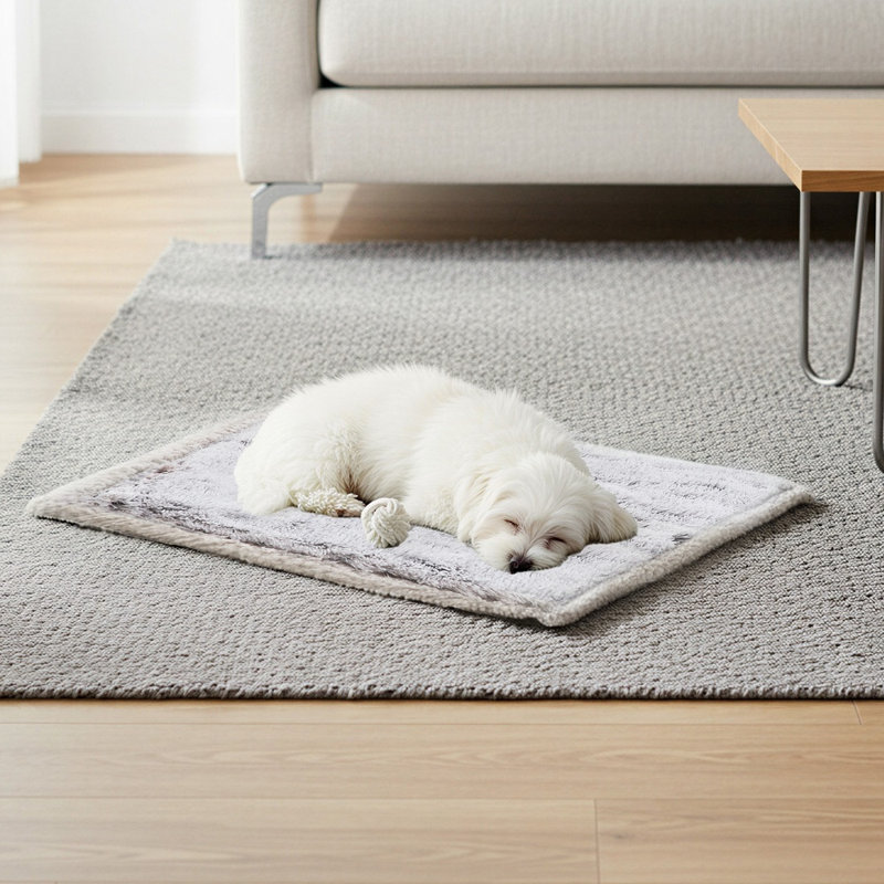 Couvertures pour chien