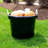 Homz Plastic Storage Tub & Tote-130515453-130515455