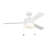 52'' Ceiling Fan with LED Lights-779103480