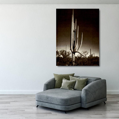 Saguaro, Arizona