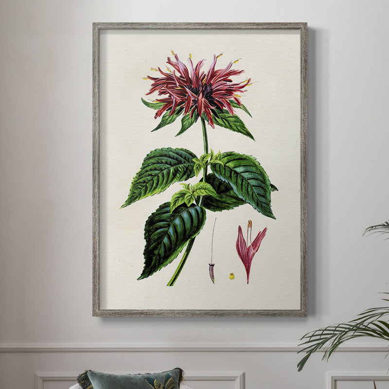 AntiqueFloralFolioI, reproduction encadrée - bois massif, H 15 po x l 12 po