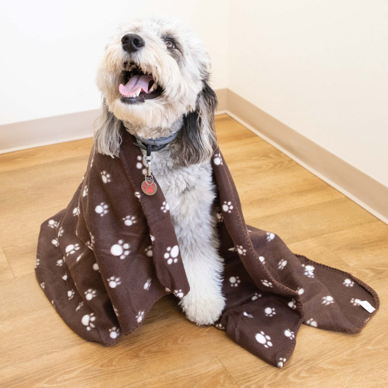 Soft Polar Fleece Pet Blankets in Multicolor Pack