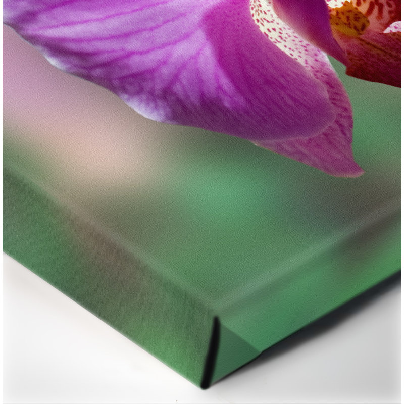 " Orchid ", 30" H x 40" W x 1" D