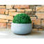 Bol à fleurs rond en pot 16 po intérieur / extérieur avec trou de drainage-1053064299-1053037890