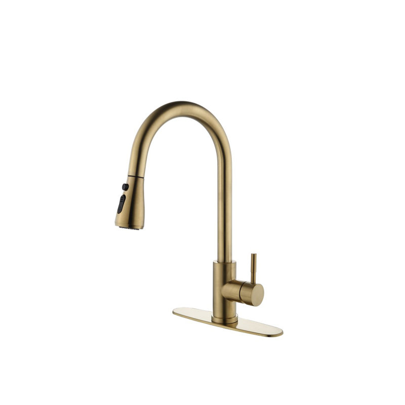 Kitchen Faucet With Pull Out Spraye, Brushed Gold