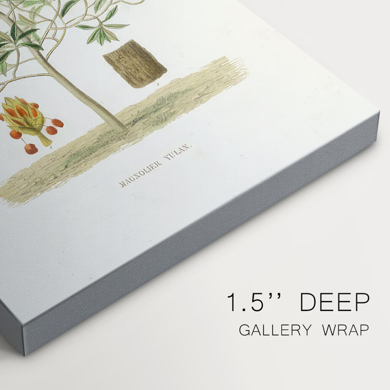 Arbre antique avec fruit VI - galerie Cavas, H 36 po x l 24 po