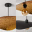 1 - Light Matte Black Novelty Pendant