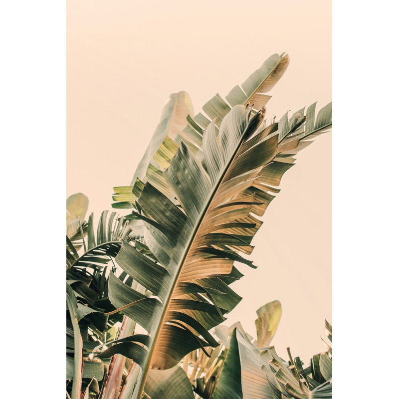 Growing Green Print by Alicia Bock, Gold Framed, 30" H x 22" W