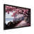 Black Single Picture Framed