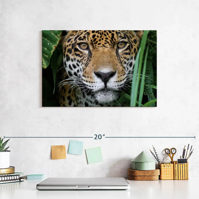Brampt Amazon Jungle Jaguar, 8" H x 12" W