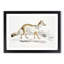 Bengal Fox by John Edward Gray - Single Picture Frame Painting-55466265-55466264