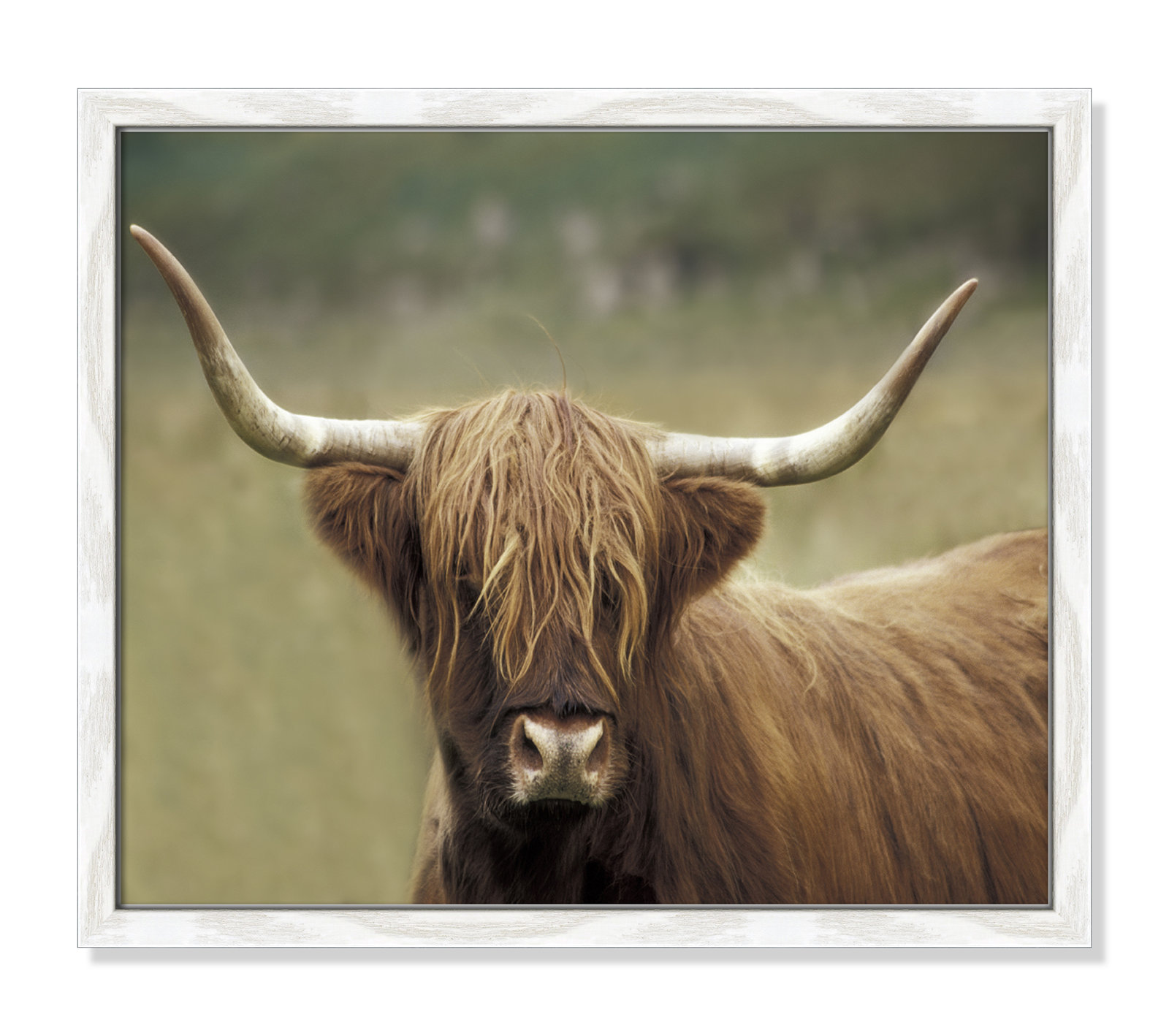 Frederic "Highland Afternoon" Print, White Wood Grain Framed, 16" H x 19" W x 0.75" D