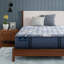 Perfect Sleeper Pro Dublin Medium 14" Latex Hybrid Mattress-1095424506