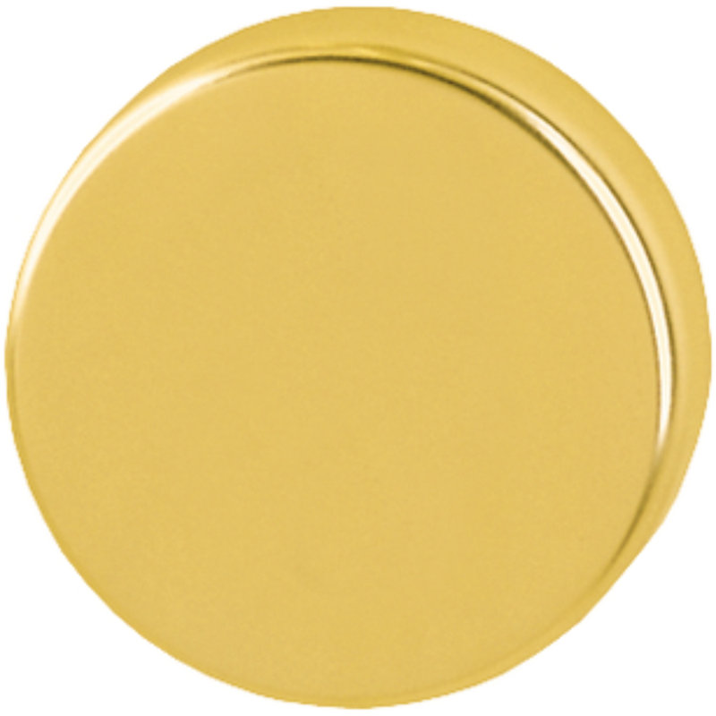 Amarpreet Brescia Blind Escutcheon (Pair), Gold