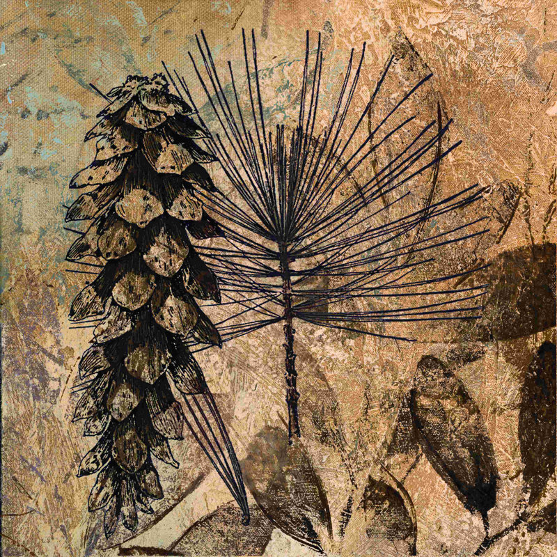 Pinecone Illustration 1 - reproduction sur toile tendue, L 20 po x H 20 po