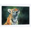 « tiger cub look up », impression sur toile-33109934-72398512-72398506