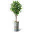 Arbre artificiel dans un pot de fleurs moderne, faux arbre en soie ficus (décoration en pot et arbre)-118317462-118317509