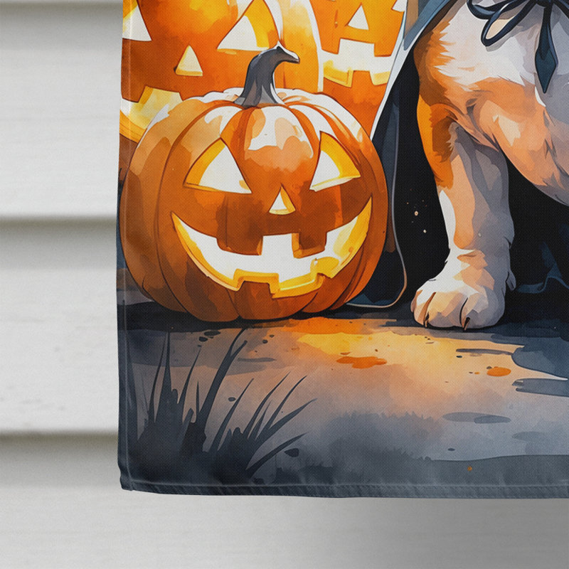 Drapeau de chiot Halloween House, Bouledogue français