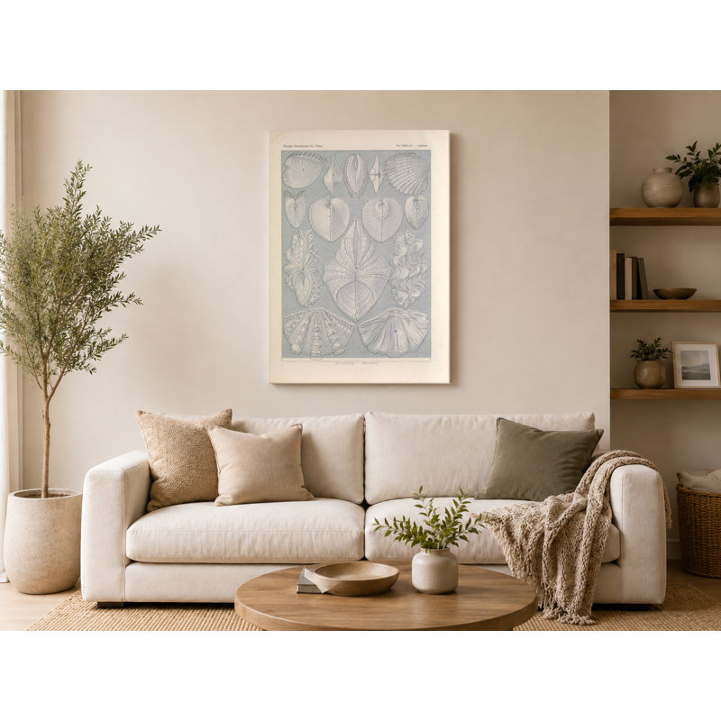 Art textuel sur toile, Tafel 55 - Acephala (Bivalves) (1904), 20" W x 16" H