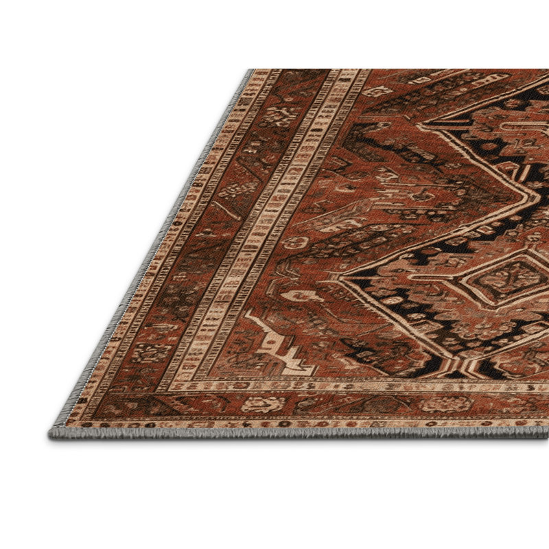 Tapis brun lavable à la machine, Tapis de couloir 2 pi x 4 pi