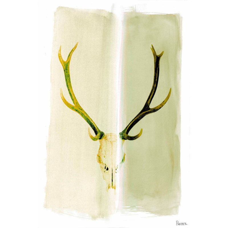Parvez Taj - Wrapped Canvas Print, 91cm H x 61cm W