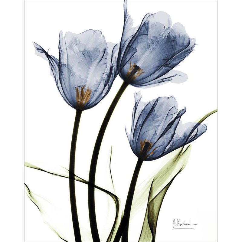 «Indigo Infuse Tulips» par Albert Koetsier - impression sur toile tendue