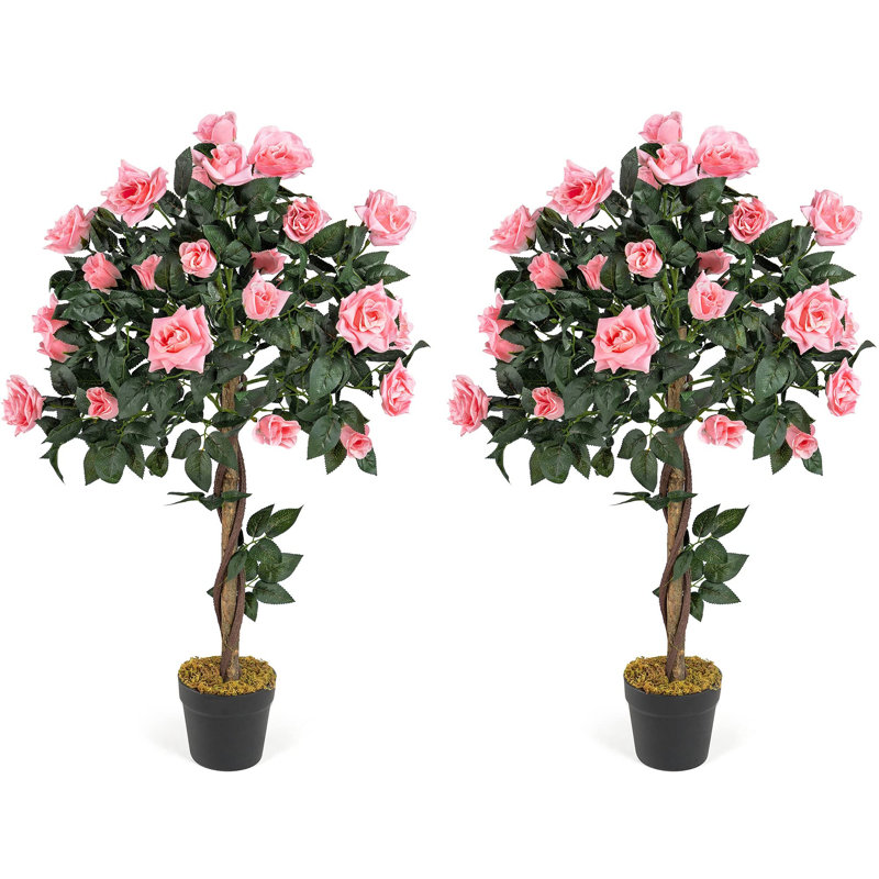 Rubens 91.4cm Tree in Pot