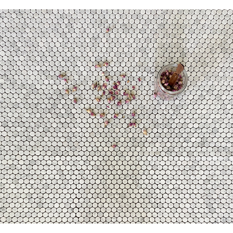 Arabescato Marble Penny Round Mosaic Wall Tile