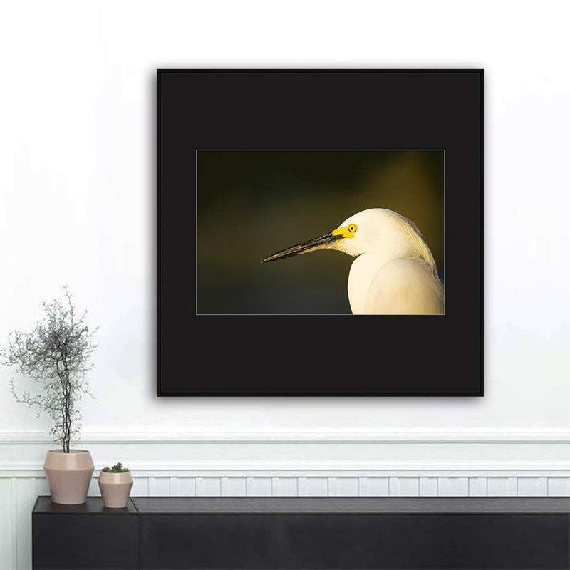 H03 A Bird debout, reproduction sur toile, Noir, H 24 po x l 24 po