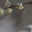 Rosa Fine Stoneware Dinnerware Set
