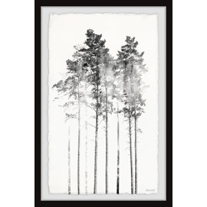 Misty Forest - Picture Frame Photograph
