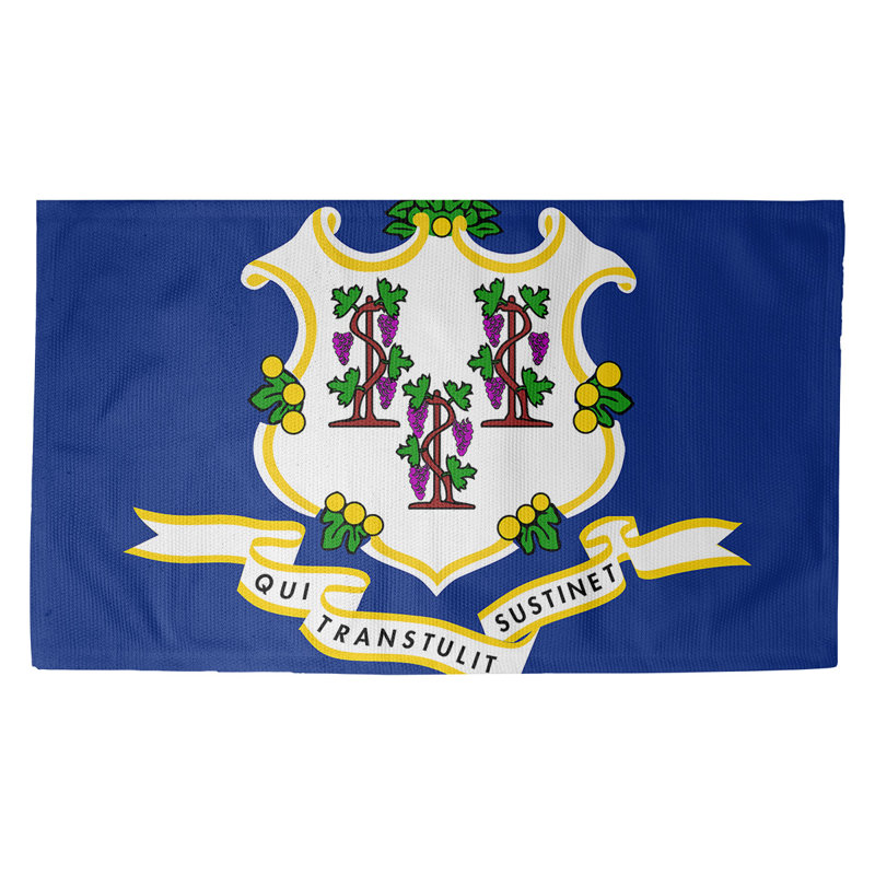 Tapis de porte d’intérieur à drapeau connecticut Fawcett, Rectangle 3 pi 3 po x 5 pi 3 po