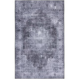 Akintomiwa Tucson Performance Machine Washable Oriental Rug