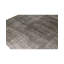 Area Rug in Gray