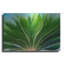 «Tropical III» par Dennis Frates-1395415184