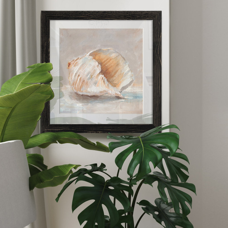 Impressionist Shell Study IV - Cadre photo, reproduction d'art sur papier, H 17 po x l 17 po x P 1,5 po, Cadre noir
