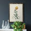 Toile encadrée de qualité supérieure Traditional Botanical III - prête à être accrochée-267675585-267675645