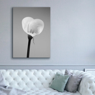«Calla No. 2» par PhotoINC Studio