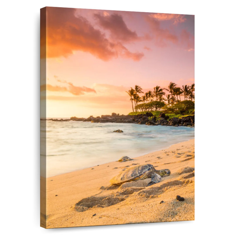 Brampt Kukio Beach Turtle, 48" H x 32" W