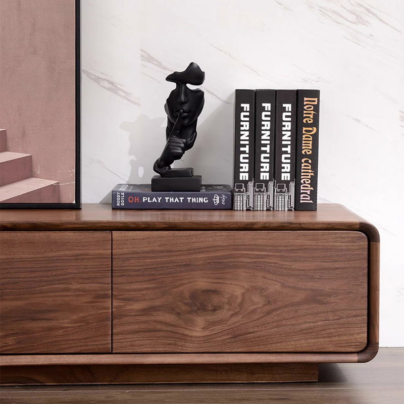 Meuble télé moderne et minimaliste avec rangement