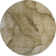 Premium Machine Washable Cerrito AMF607 Brown Rug