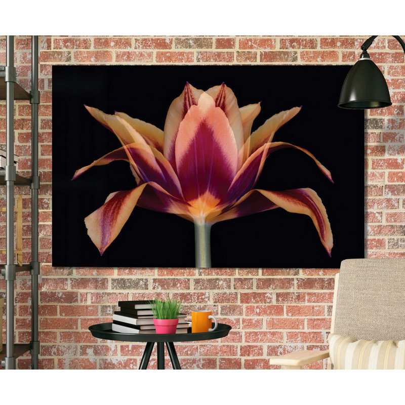 «Red Tulip», reproduction, H 12 po x l 18 po x 1,5 po, Toile tendue