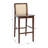 Moises Counter Stool