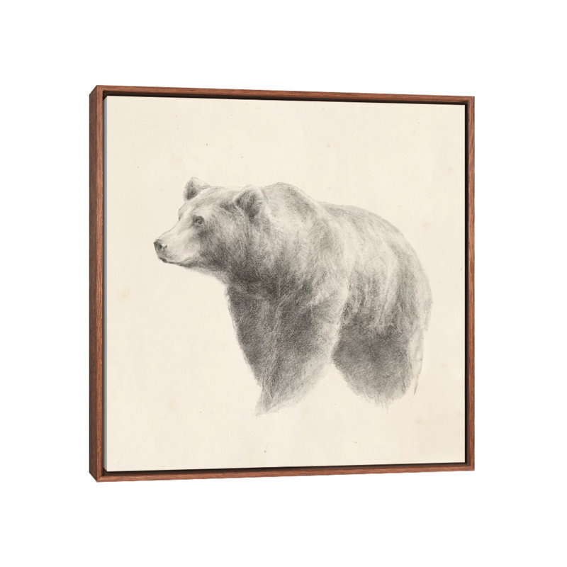 "Western Bear study" par Ethan Harper, reproduction d’art, H 26 po x l 26 po x P 1,5 po, Pas de tapis