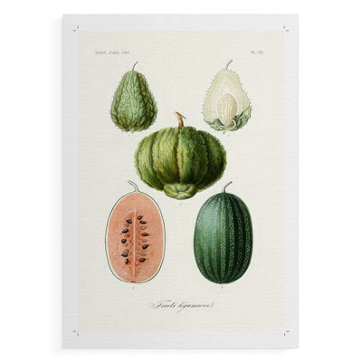 Variétés de fruits et légumes - impression sur toile seulement - non encadrée