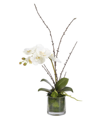 Orchid Floral Arrangement in Jar