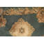 Hand-Knotted High-Quality Black Area Rug