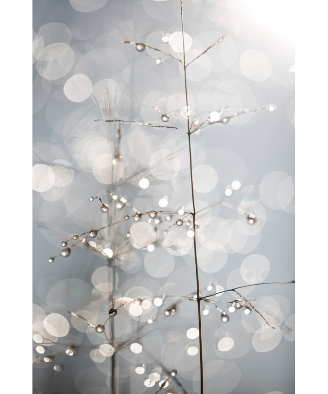 Wrapped Canvas Print, 81.28 cm H x 121.92 cm W